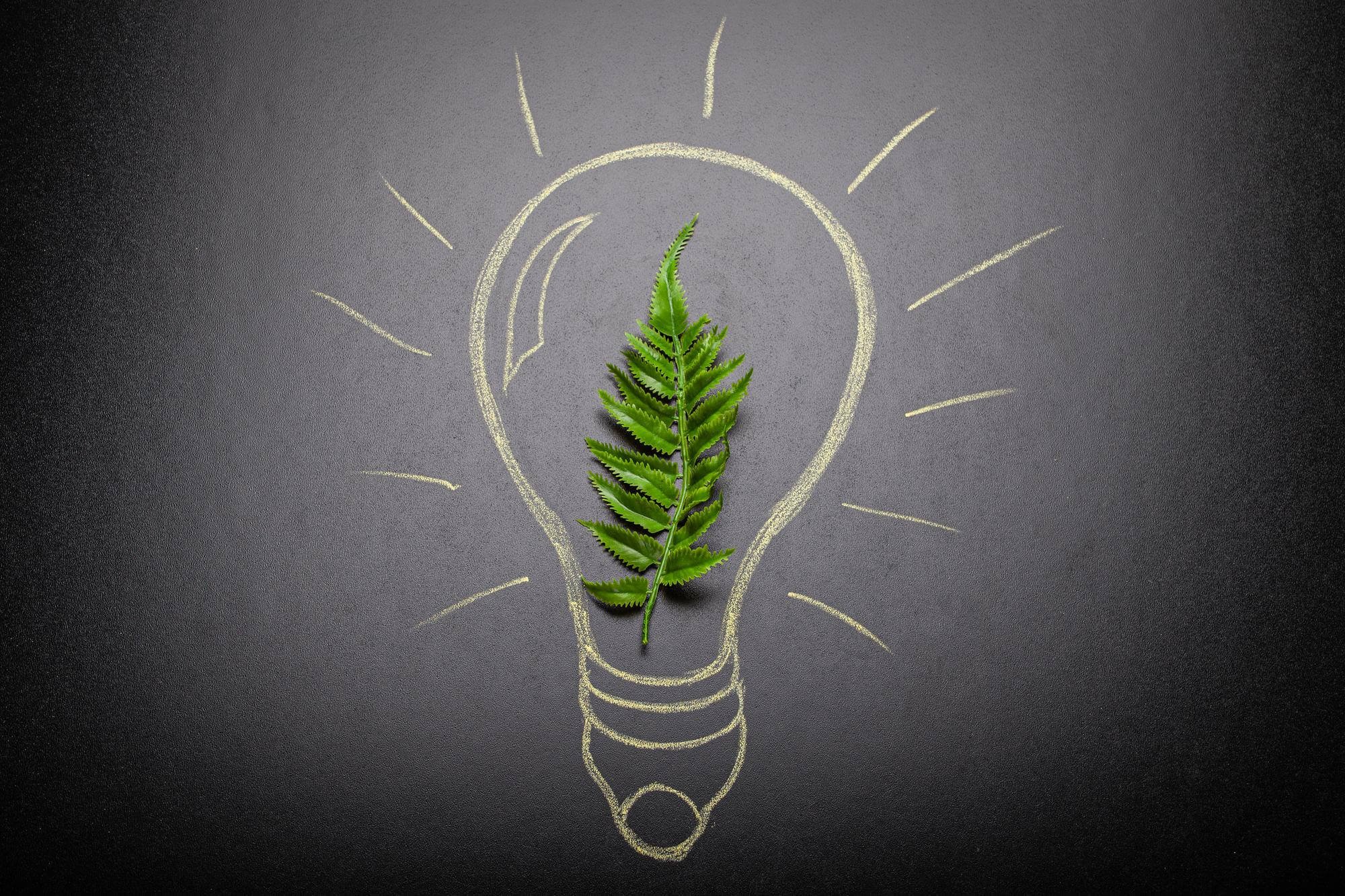 Empreendedorismo verde: por que implementar na sua empresa?